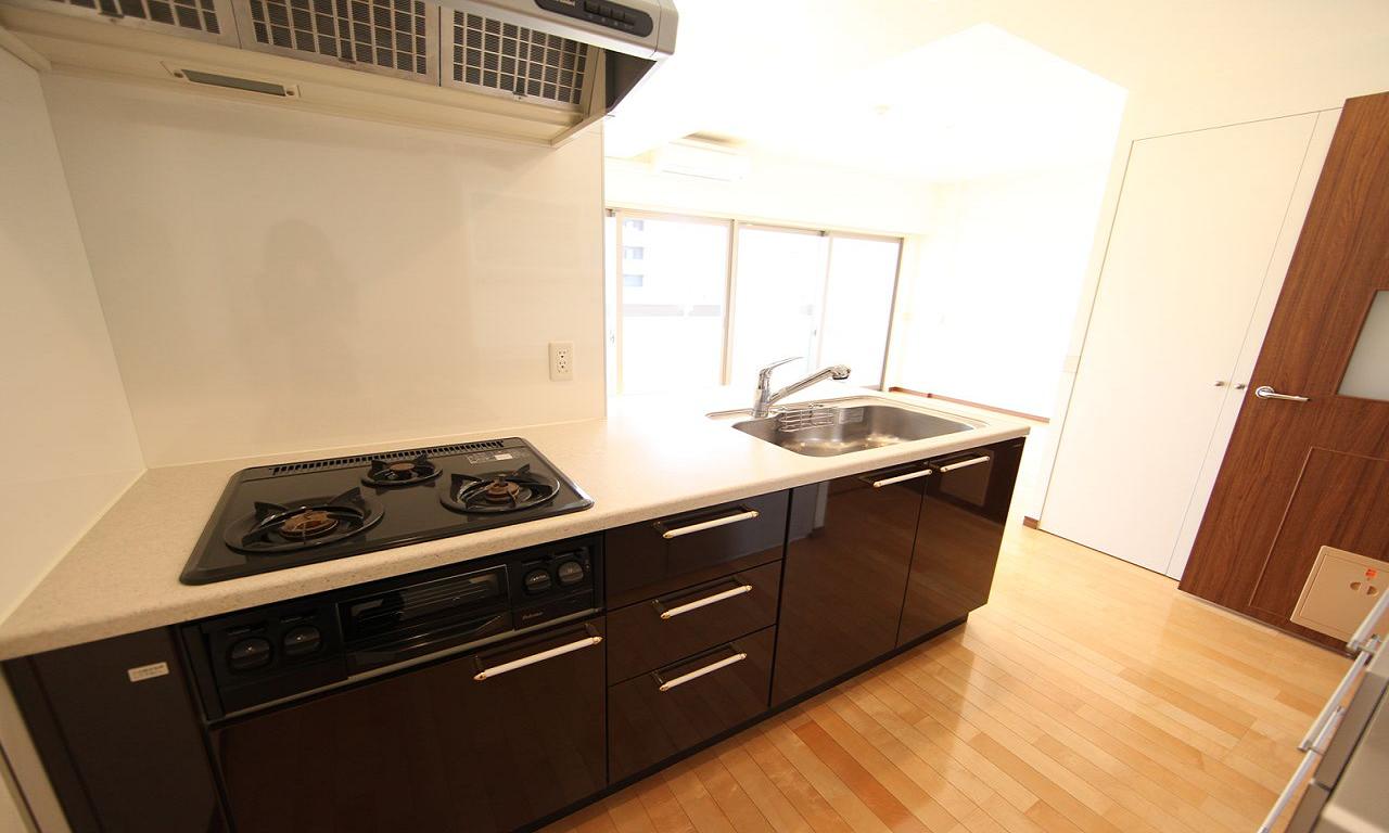 Kitchen. System kitchen (gas three-necked) with cupboard With disposer