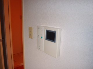 Other. With TV monitor