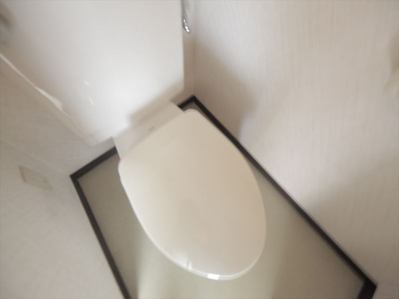 Toilet. toilet Warm water washing toilet seat installation Allowed