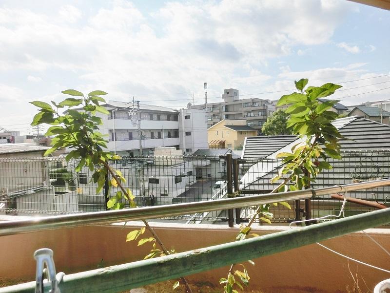 Garden. Local (11 May 2013) Shooting View from the private garden