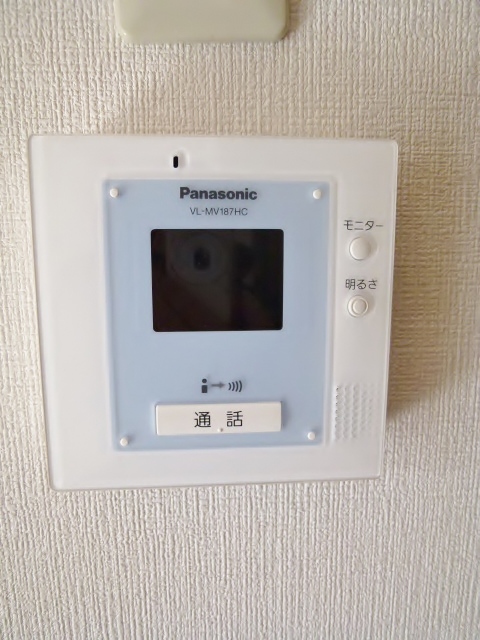 Security. Monitor with intercom