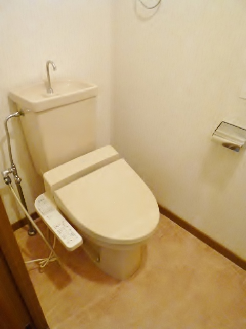 Toilet. WC Bidet