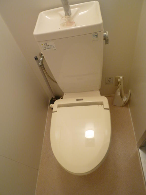 Toilet. Toilet