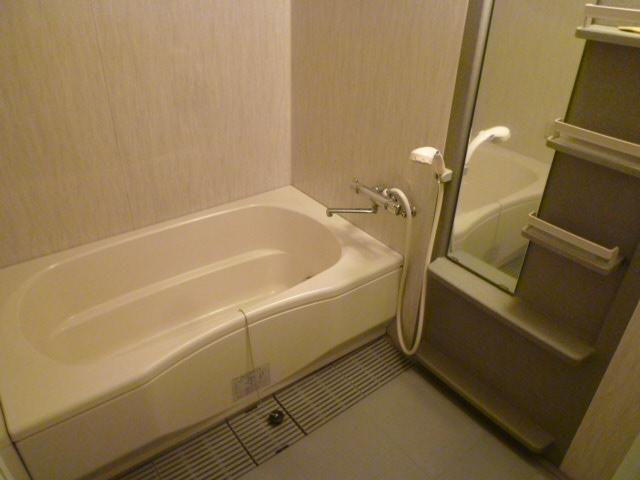 Bathroom. Indoor (September 2013) Shooting