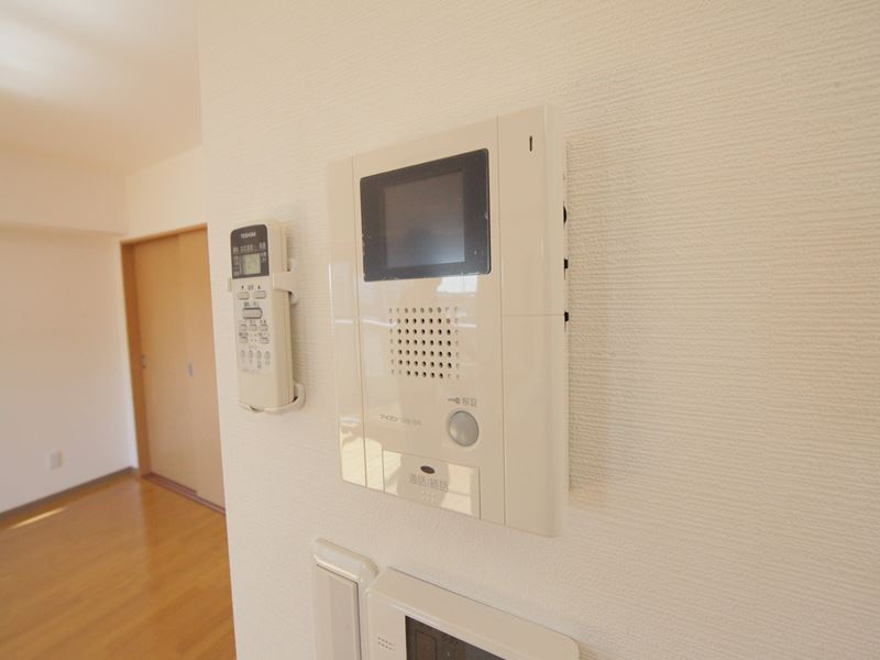 Security. Monitor with intercom