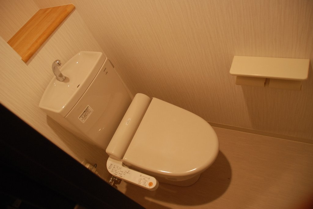 Toilet. Toilet