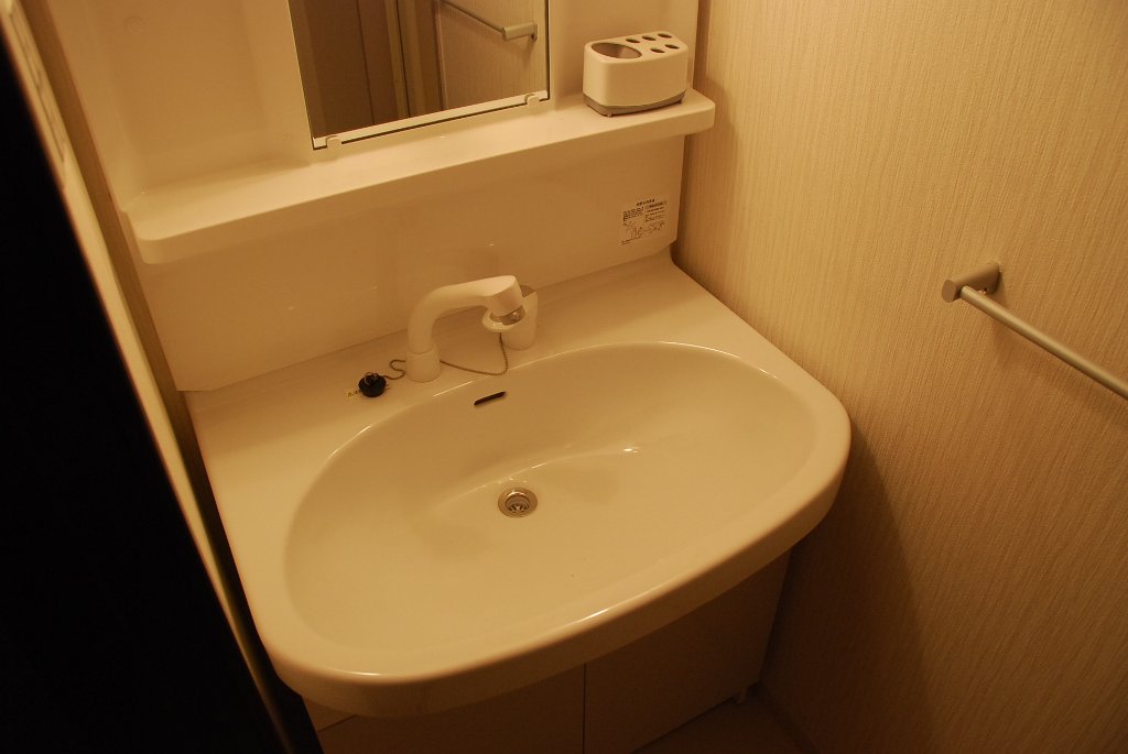 Washroom. Wash basin
