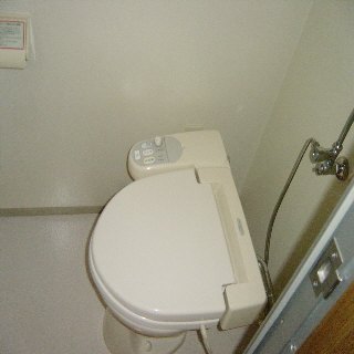 Toilet. Toilet