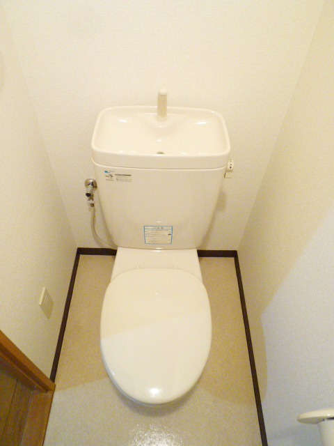 Toilet. Western-style toilet