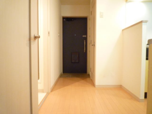 Kitchen. Corridor around the kitchen is also wide. 