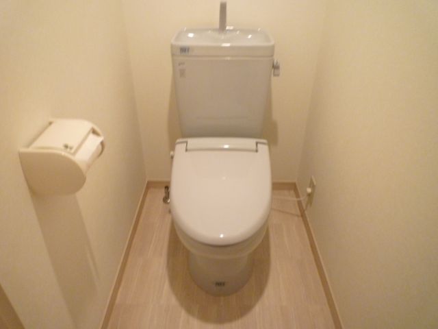 Toilet. Full of clean toilet