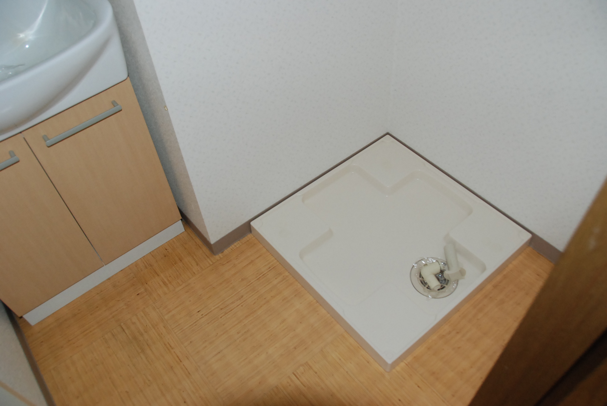 Washroom. Washing machine in the room