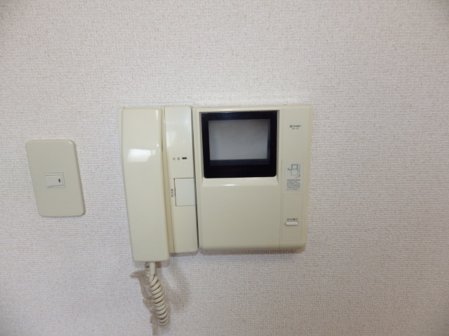 Security. Monitor with intercom