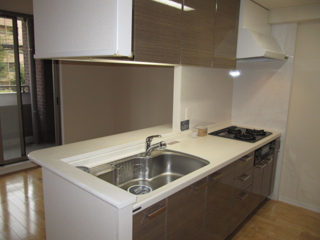 Kitchen. System kitchen