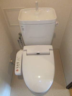 Toilet. Toilet