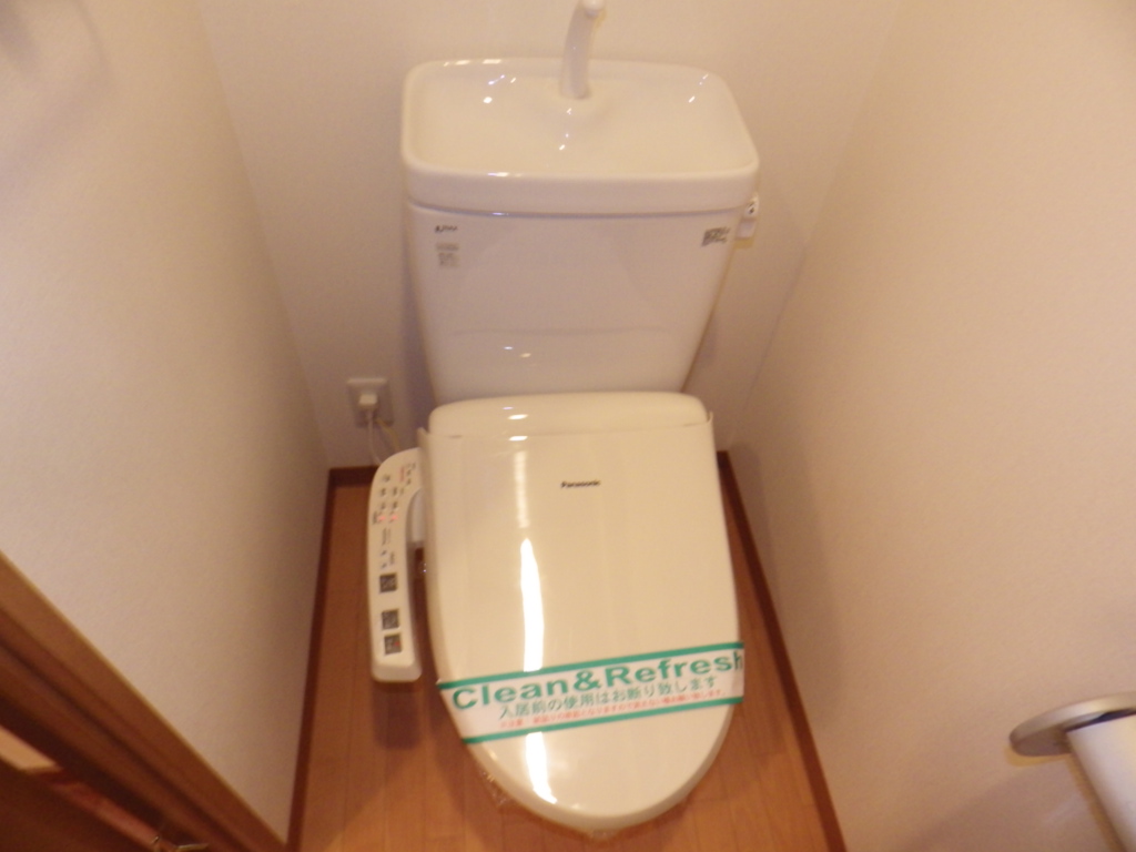 Toilet. Cleaning function toilet seat