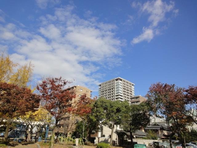 park. I want an apartment from cloth pond park to play with children (November 2012)