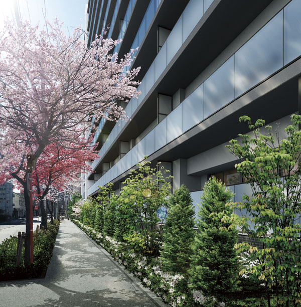Buildings and facilities. Photographs of south direction from the site east sidewalk (October 2012 shooting) to the CG synthesizing the appearance Rendering and cherry blossoms ・ Which was processed, In fact a slightly different (appearance ・ Entrance Garden Rendering)