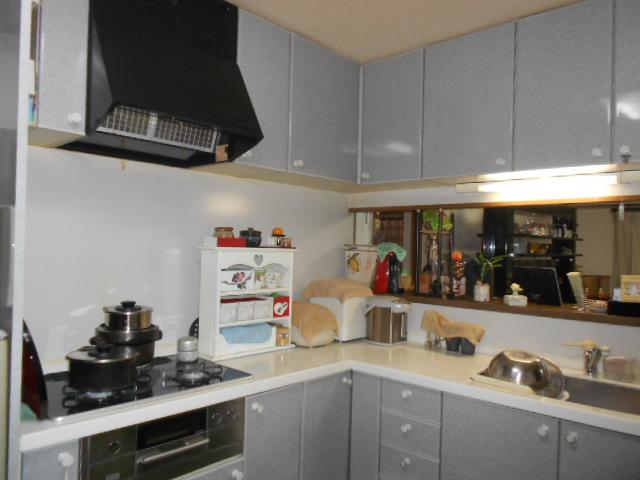 Kitchen. Indoor (11 May 2013) Shooting