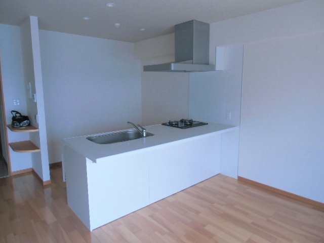 Kitchen. System kitchen