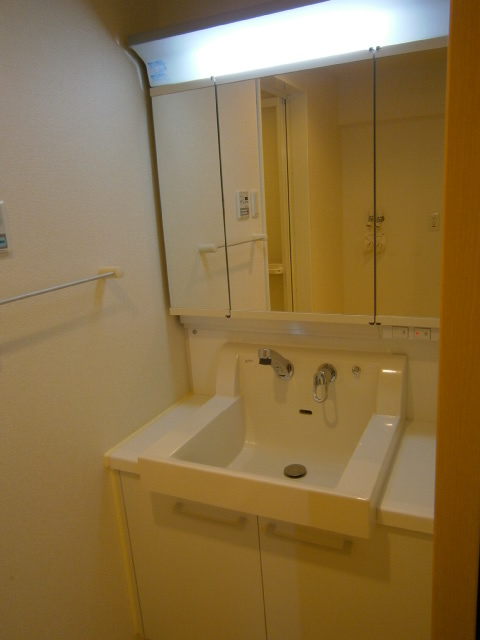 Washroom. It is a wash basin with a shower. 