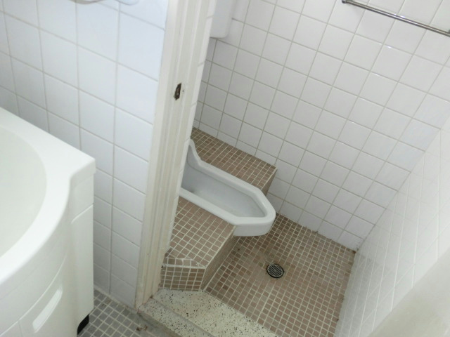 Toilet. Japanese-style toilet