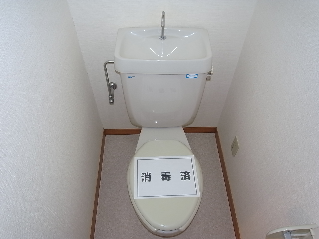 Toilet. Western-style toilet (another bath toilet)