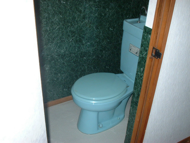 Toilet. Toilet