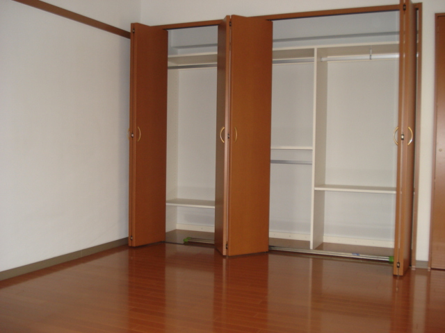 Other room space. Closet is wide