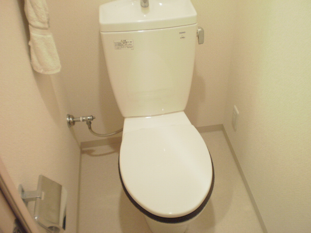 Toilet. Toilet space