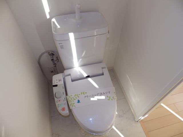 Toilet. Cleaning function toilet seat