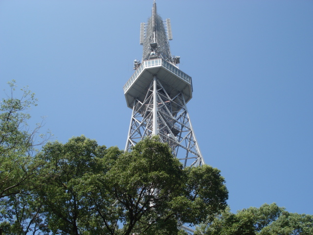 Other. TV tower