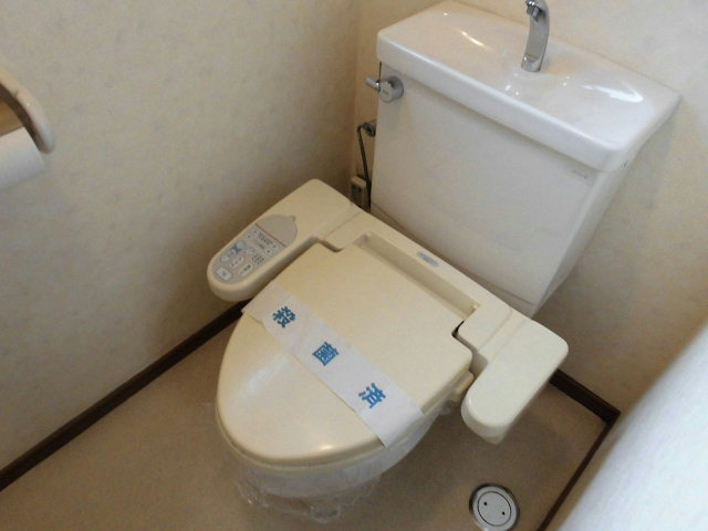 Toilet. Bidet