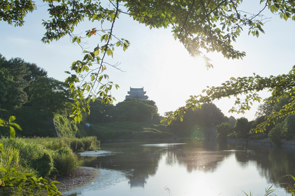 Surrounding environment. Nagoya Castle (13 mins ・ About 980m)
