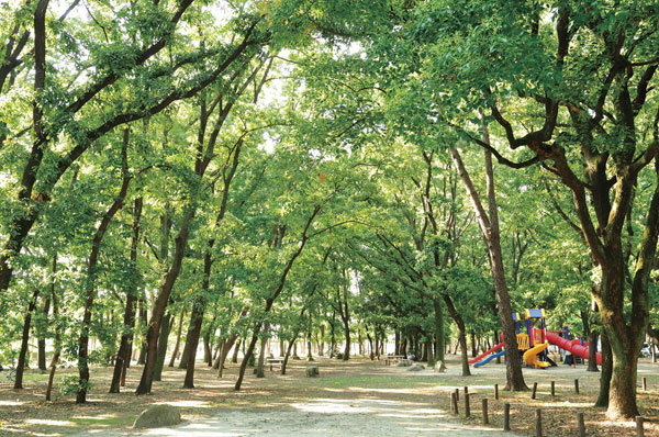 There is a jogging course Meijo Park south amusement (about 830m). In health promotion, It is try to incorporate a jogging or walking? , Perfect for children's playground