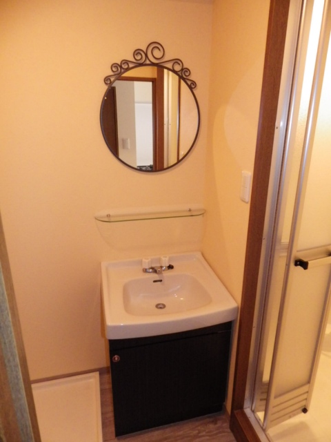 Washroom. Stylish bathroom vanity