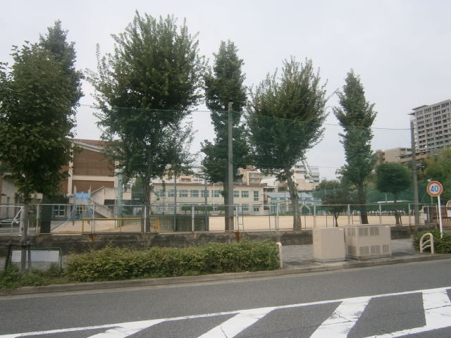 Primary school. 429m to Nagoya City hollyhock elementary school (elementary school)