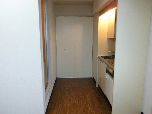 Entrance. Space in the kitchen
