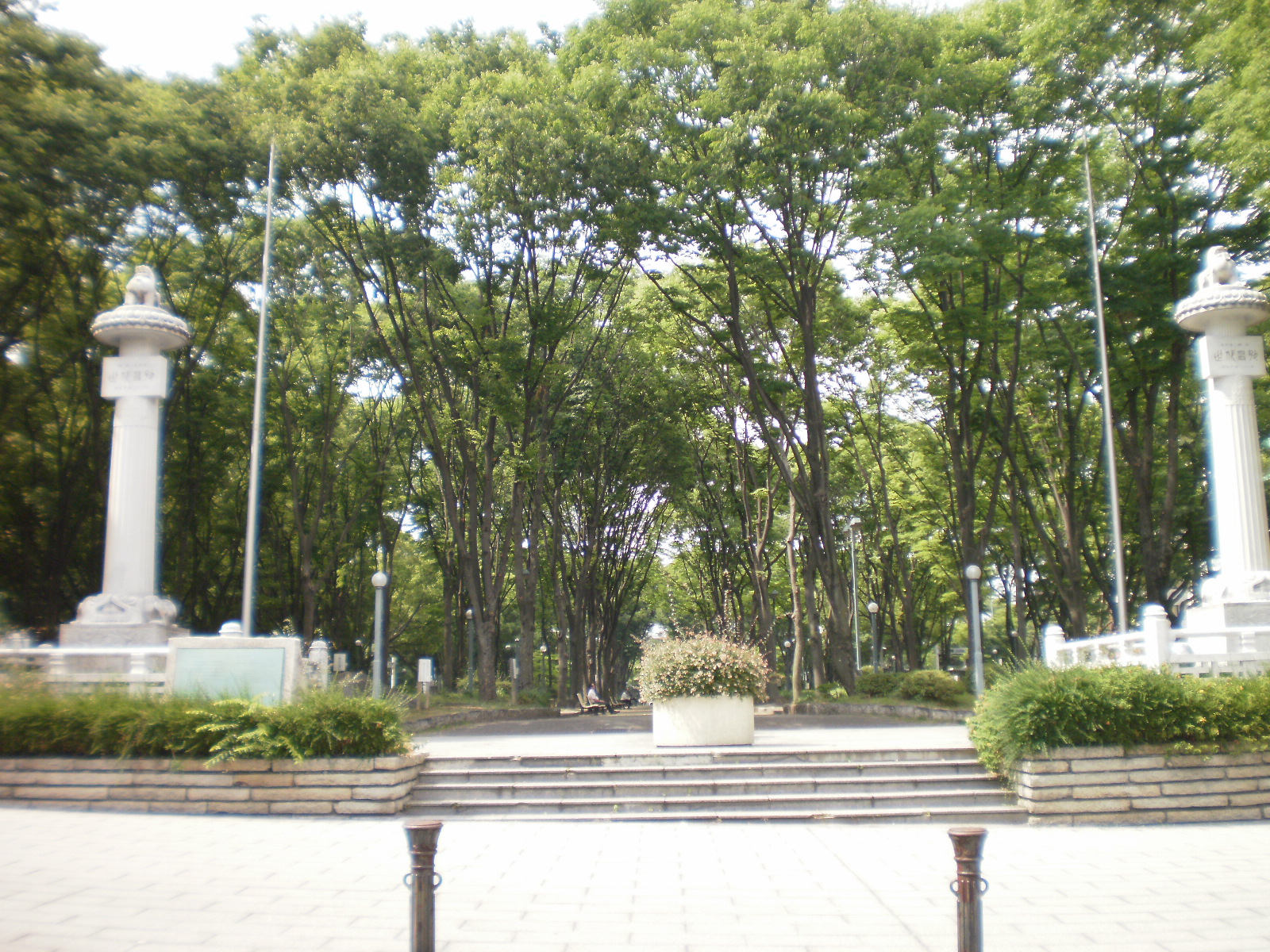 park. 220m to Central Park (park)