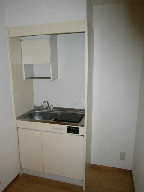 Kitchen. Compact kitchen