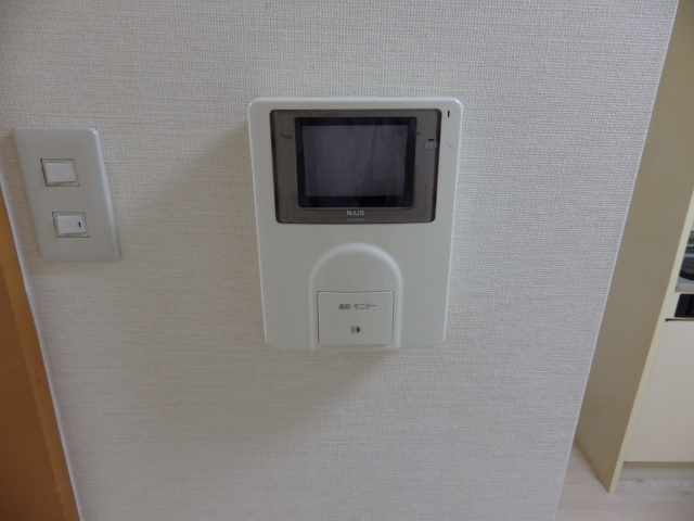 Security. TV monitor with intercom