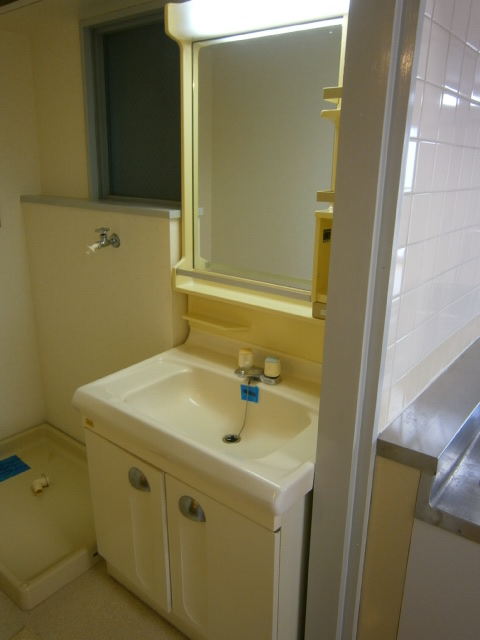 Washroom. Bathroom vanity