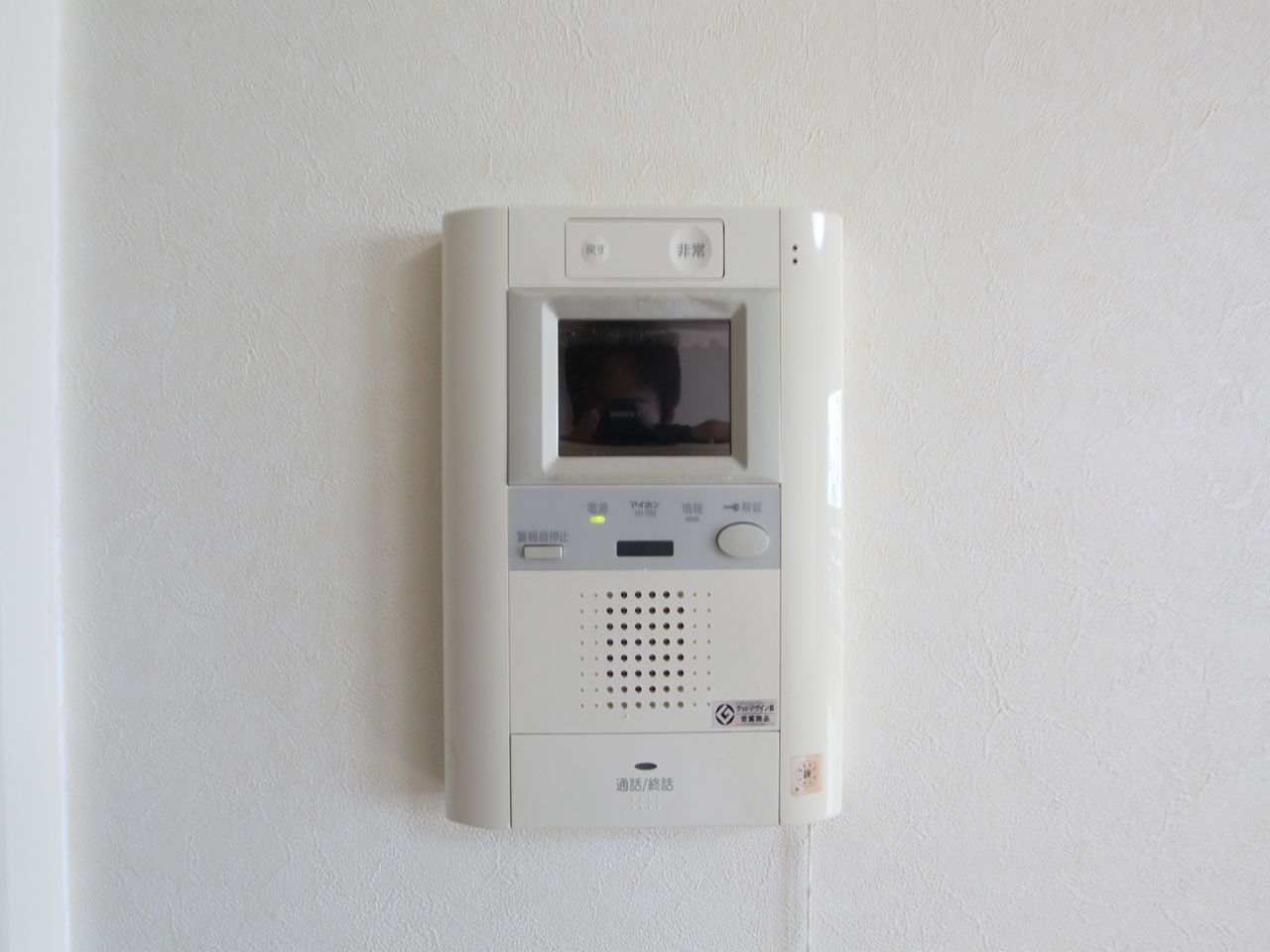 Security. Intercom with TV monitor