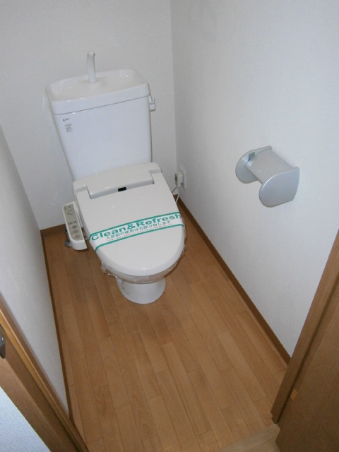 Toilet. Cleaning function toilet seat