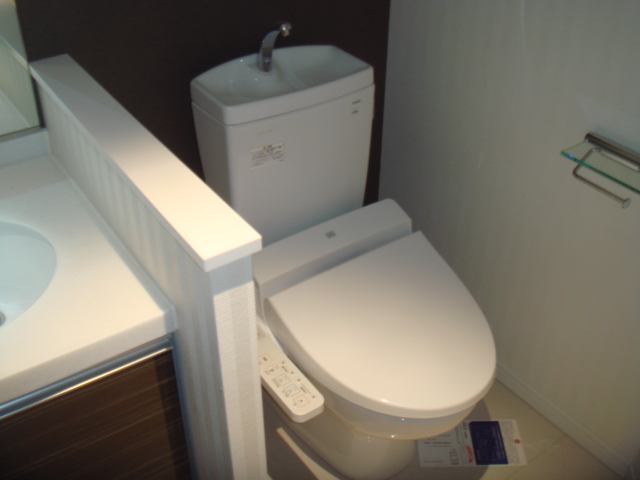 Toilet. Bidet with toilet