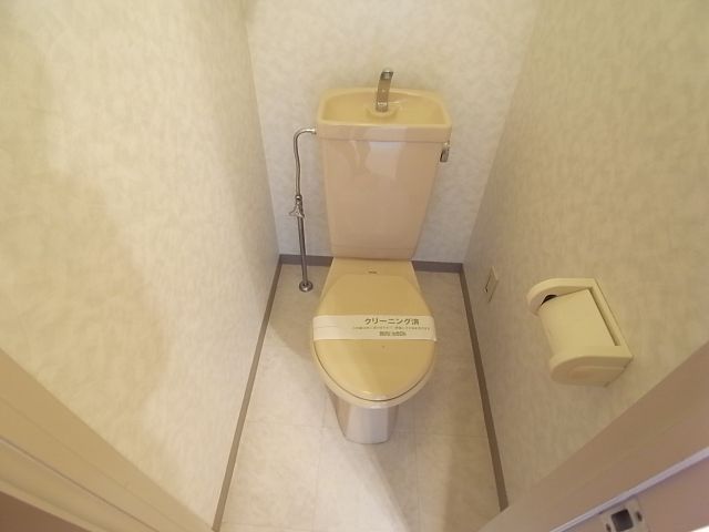 Toilet. Western-style toilet that was white with cleanliness in keynote