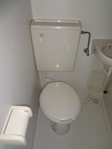 Toilet. Toilet