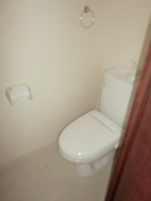 Toilet. Toilet space