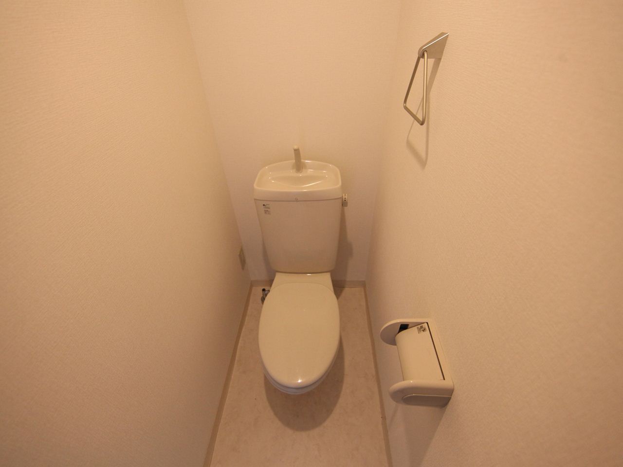 Toilet. Western-style toilet