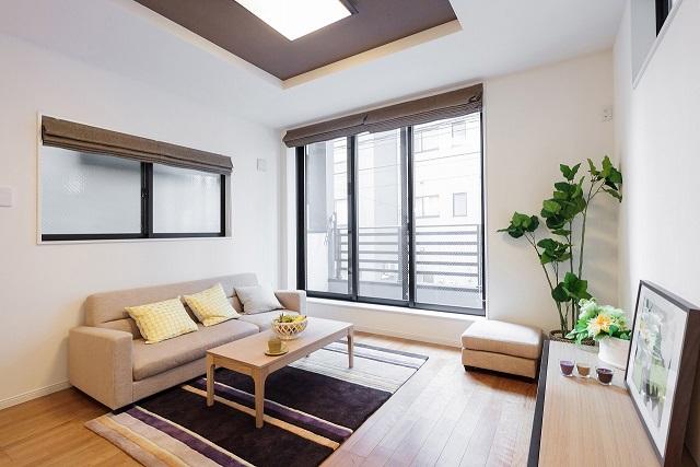 Same specifications photos (living). Living example of construction